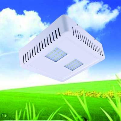 60/90/120w Gas Station Ip65 High Lumen Outdoor Led Canopy Lights - Buy Led Canopy Light,Canopy Light,Led Gas Station